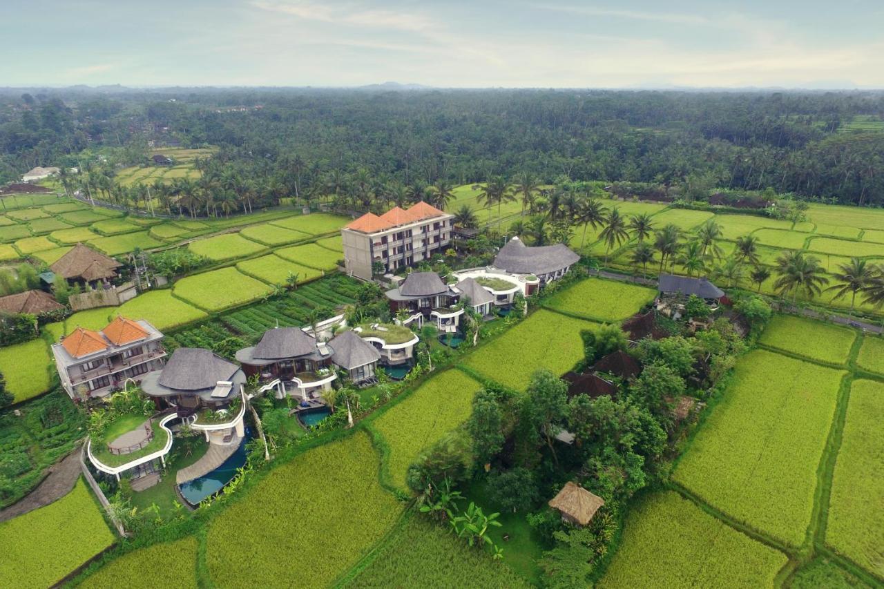 Mango Ubud Ngoại thất bức ảnh