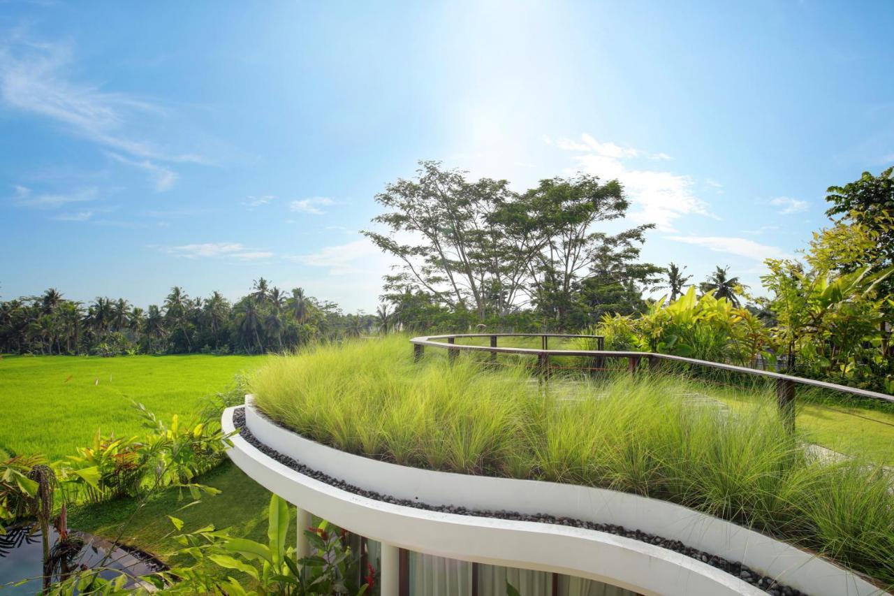 Mango Ubud Ngoại thất bức ảnh